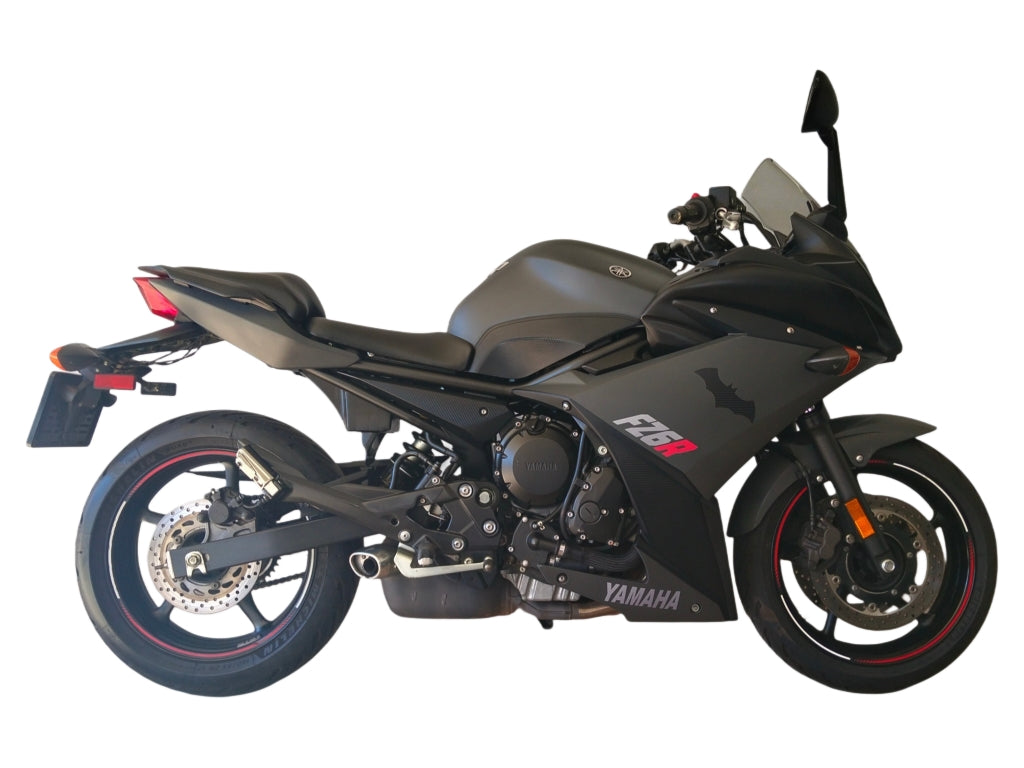 2010 Yamaha FZ-6R