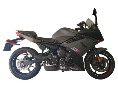 2010 Yamaha FZ-6R