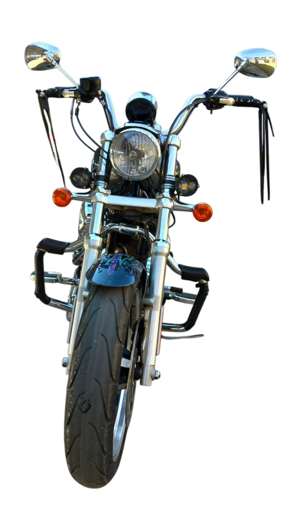2015 Harley Davidson Sportster 1200