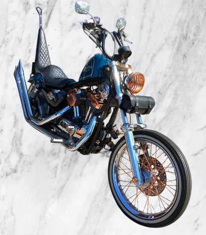 2007 Harley Davidson 1200 Sportster