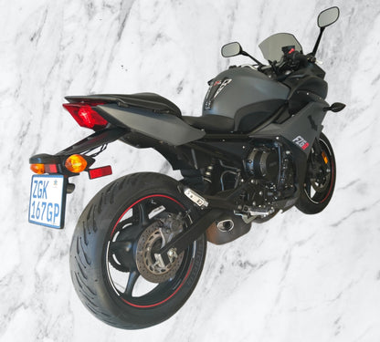 2010 Yamaha FZ-6R
